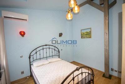 Inchiriere vila cu personalitate zona Tudor Vladimirescu - 6