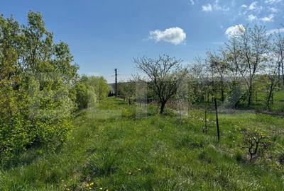 Teren de 19000 mp, în Botoș - 7