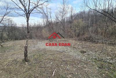 Teren de 3448 mp, în Provița de Jos - 13