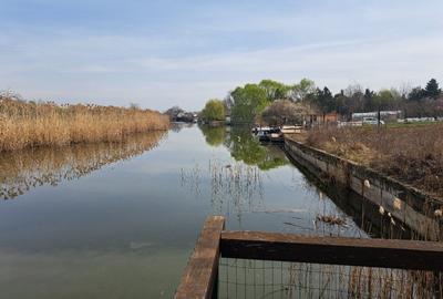 Snagov, vila de inchiriat/vanzare deschidere lac, piscina, 5 camere, garaj