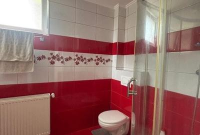 Casă cu 6 camere cu Teren 800 Mp în Valea Borcutului - 9