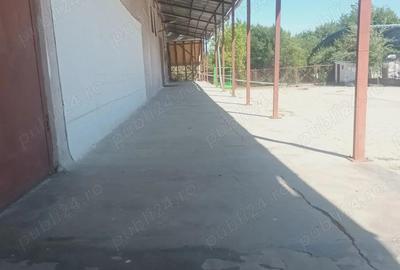 Hala industriala de inchiriat, 600 mp, zona Fratelia - 3