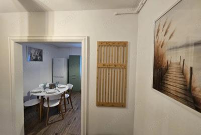 Apartament cu 2 camere semidecomandat în Bălcescu - 5