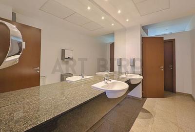 Zero comision, 200-600mp birou mobilat, move-in, Preciziei, 9' metrou - 11