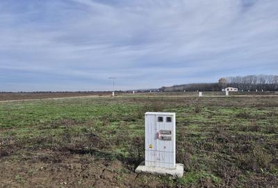 Loturi de teren 638 mp - curent tras la teren - Crevedia - 5