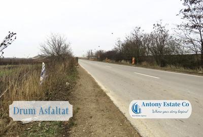Oportunitate de investitie, Teren intravilan, Bors, Bihor - 5