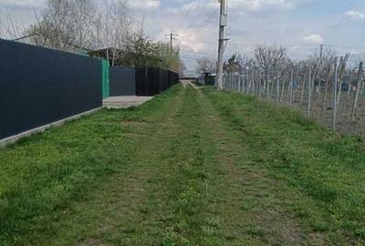 Teren de 6000 mp, în Săucești - 6