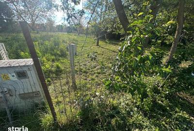 Teren de 1350 mp, în Bercu Roșu - 1