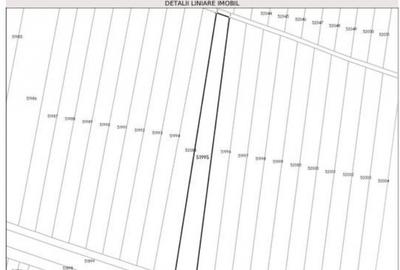 Teren extravilan, loc Obarsia, Jud Olt - 3
