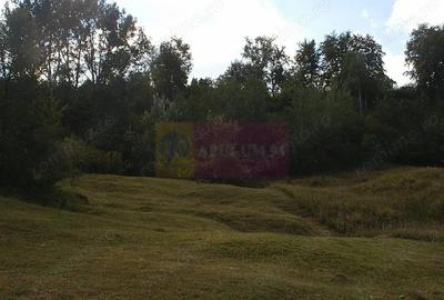 Teren de 3092 mp, în Telega - 11