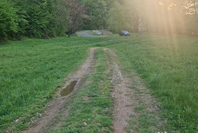 Teren de 26403 mp, în Negreni - 5