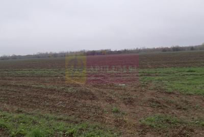 Teren Construcții intravilan de 2250 mp, în 1 Decembrie - 6