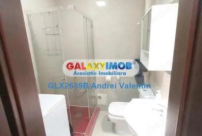 Inchiriere Garsoniera Moderna Tineretului - Piata Norilor - Metrou - 3