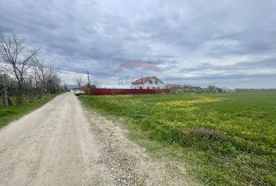 Teren Focsani / Drumul Suraii / Mandresti str Nuferilor - 7