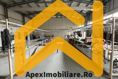 Spațiu comercial, de 550 mp, în Malu Roșu - 6