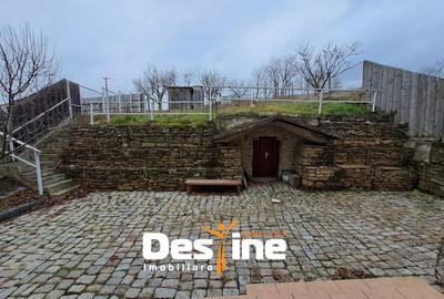 Casa individuala, P+1+POD,  100 MP + 500 mp TEREN, BOGONOS-LETCANI - 4