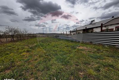 Spațiu comercial, în Ineu - 2
