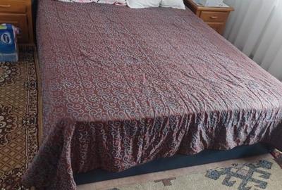 Apartament de 3 camere -Noua - 3