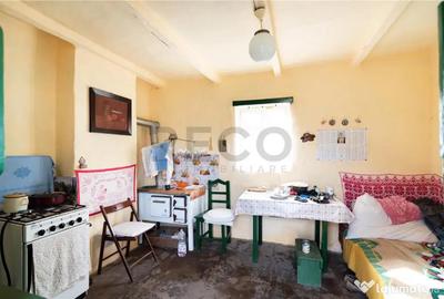 Casă cu 2 camere cu Teren 3036 Mp în Borș - 10