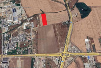 Teren Construcții intravilan de 6020 mp, în Popești-Leordeni - 2