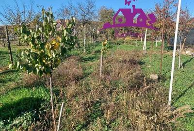 Casa la curte comuna in localitatea Nojorid - 3