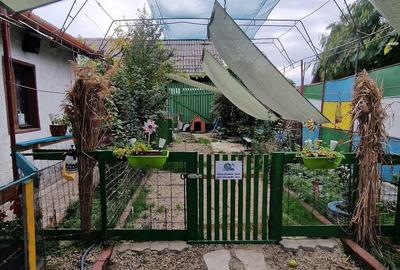 Casă cu 2 camere în Central - 3