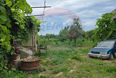 Comision 0! Casa din inima Subcarpaților — comuna Cislau, teren 5000mp - 18