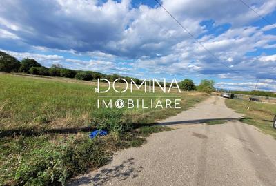 Teren Construcții intravilan de 2593 mp, în Exterior Vest - 7