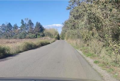 Teren de 10550 mp, în Joița - 3
