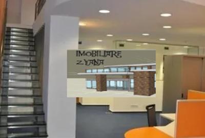 Birou, 290 mp în Cișmigiu - 6