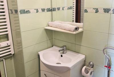Apartament cu 3 camere decomandat în Ultracentral - 9