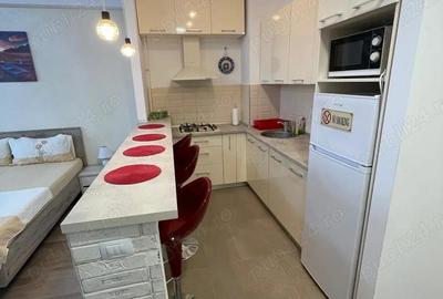 Studio-de inchiriat- 300E luna negociabil - 4