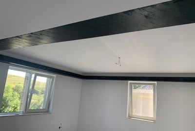 Casă cu 4 camere în Păniceni - 3