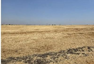 Teren de 16700 mp, în Periferie - 7