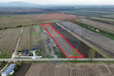 Teren intravilan 10869mp Mircestii Vechi / DJ 204E - 2