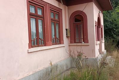 Calarasi, Dor Marunt, casa 4 camere din caramida, 2.550 mp - 7