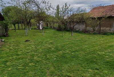 Teren cu casa batraneasca de vanzare - 3