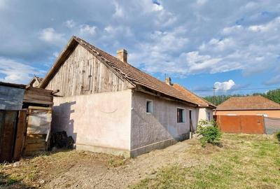 Casă cu 3 camere cu Teren 1940 Mp în Biharia - 9