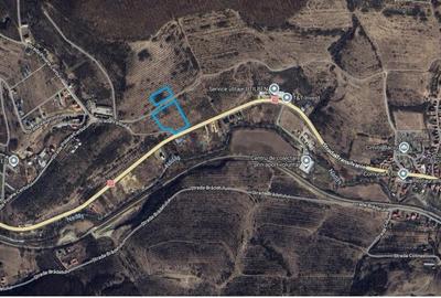 Teren de 11600 mp, în Baciu - 2