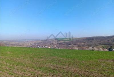 OCAZIE! Vorovesti Teren 83000mp intrav. si extrav. cu utilitati - 2