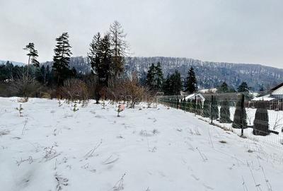 Teren intravilan - Sacele - Brasov - 2