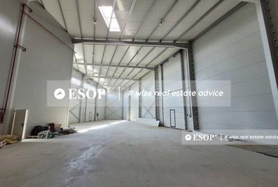 Hala de vanzare,  zona Mogosoaia, 1500mp, ID 15424, - 4