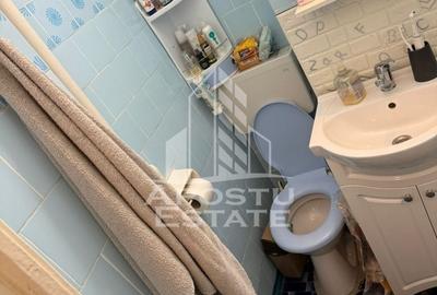 Apartament cu 2 camere nedecomandat, mobilat în Șagului - 8