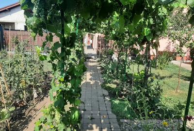 2 Case cu 7 camere, 2 bucatarii si 3 bai, intr-o curte cartierul Gradiste - 19