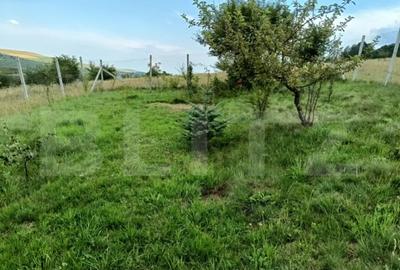 Teren de 1000 mp, în Central - 2