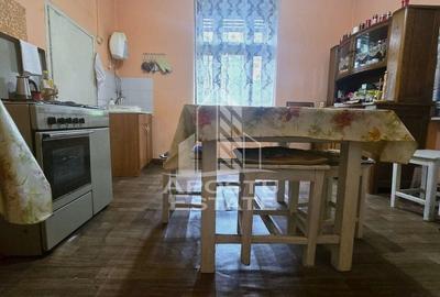 Proprietate cu potential turistic in Gurahont - 18