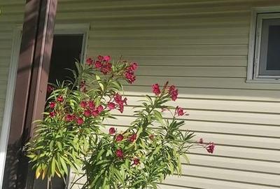 Casă cu 3 camere cu Teren 380 Mp în Iepurești - 3