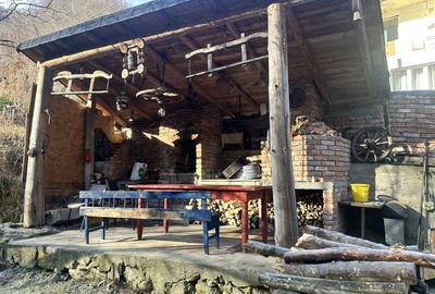 Cabana/ casa de vacanta 3 dormitoare zona Maguri - 14