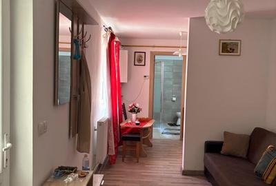 Apartament cu 2 camere semidecomandat în Mărăști - 2