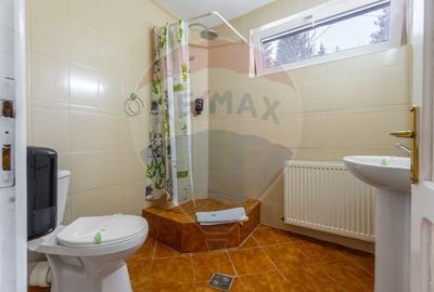 Hotel/Pensiune, de 404 mp, în Vlădeț - Trei Brazi - 29